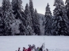 Balade et randonnée en raquettes à neige dans les Vosges avec le Refuge du Sotré !