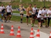 Les Sotrés en joëlettes au semi-marathon de Nancy (4 octobre 2015) !