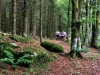 Le Refuge du Sotré au trail de la vallée des lacs 2017