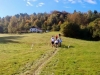 Trail des Hautes Mynes avec Morgane en joëlette (1-10-2017)