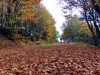 Balade en trottinette tout terrain !