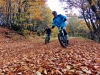 Vacances d'été dans les Vosges au Refuge du Sotré !