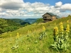 Vacances d'été dans les Vosges au Refuge du Sotré !