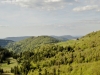 Vacances d'été dans les Vosges au Refuge du Sotré !