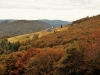 Vacances de la toussaint dans les Vosges !