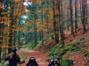 Séjour de nos amis de la MAS Le Village Vert du Breuil !