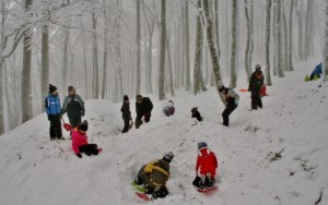 voyage_scolaire_refuge_sotré (14) (640x402)