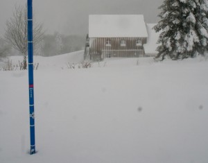 La neige du 13 janvier 2016 !