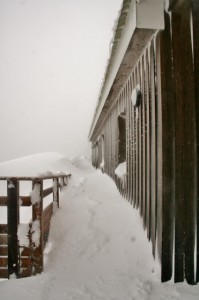 La neige du 13 janvier 2016 !