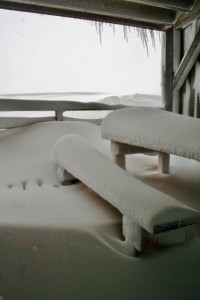 La neige du 13 janvier 2016 !