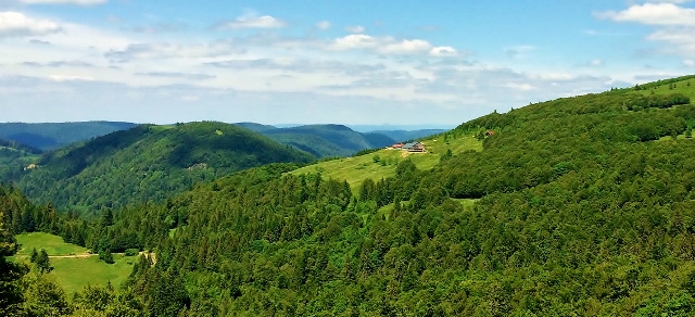 les vosges montagne