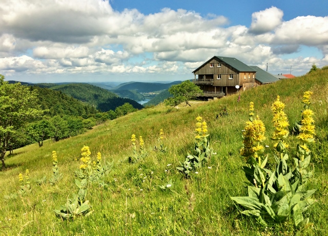 les vosges montagne