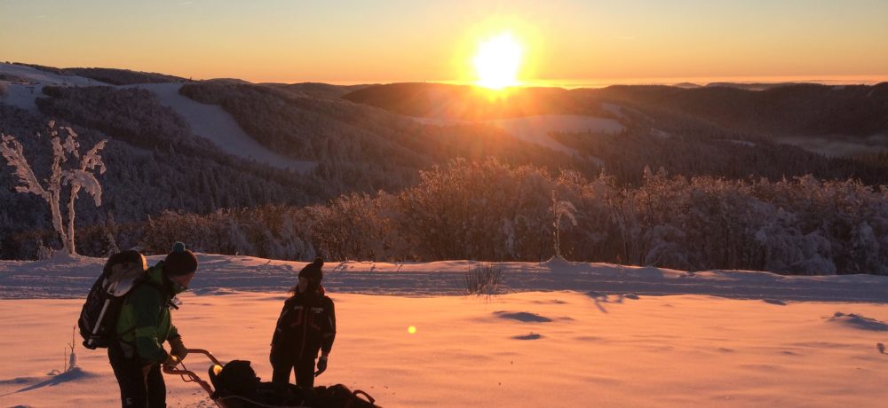 Les personnes en situation de handicap ont la possibilité de partir à la découverte du massif des Vosges en fauteuil ski.