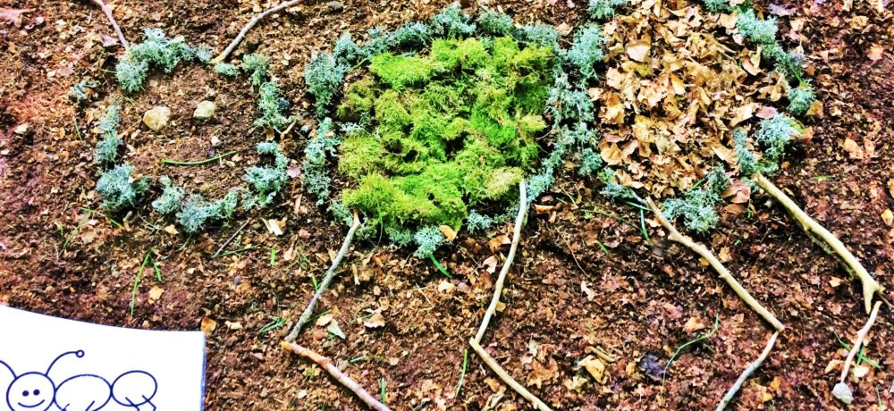 L’équipe du Refuge du Sotré fait découvrir la montagne vosgienne en proposant des loisirs et des activités de pleine nature ludiques et innovantes, pour toutes et tous, et en toutes saisons !