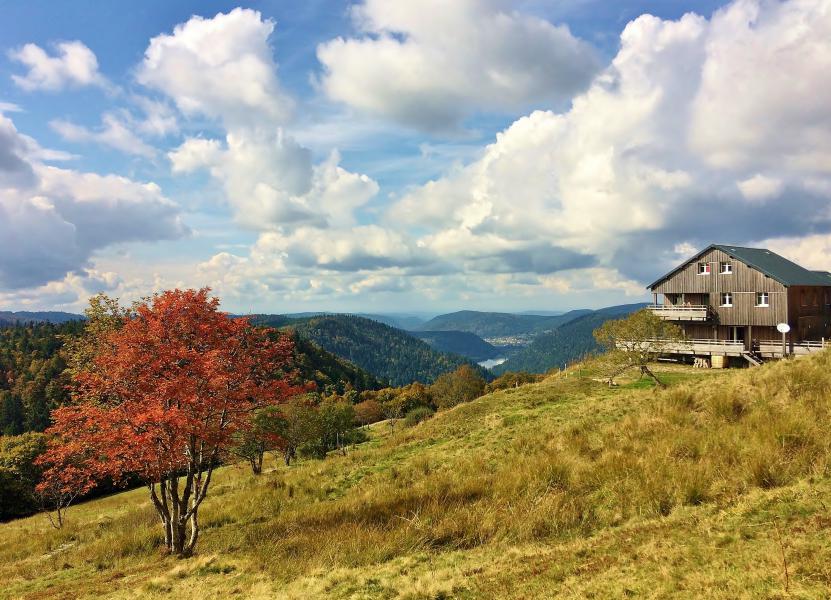automne-vosges-refuge-du-sotre (19)