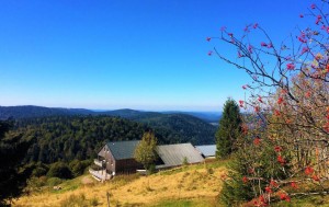 Vacances dans les Vosges au Refuge du Sotré !