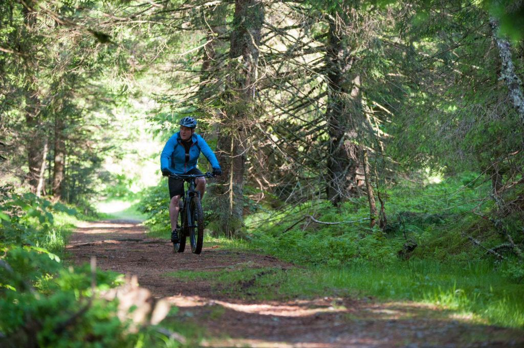 VTT electrique vosges