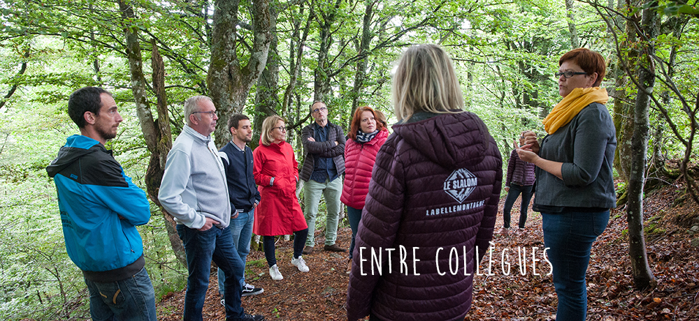 Séminaire d’entreprise, un séjour fédérateur et déstressé au Refuge du Sotré !